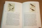 Vogels kijken - Alle 300 Ned Vogelsoorten- Prachtige prenten, Ophalen of Verzenden, Gelezen, Vogels