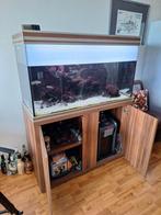 Aquarium te koop, Dieren en Toebehoren, Vissen | Aquaria en Toebehoren, Ophalen of Verzenden, Gebruikt, Gevuld zoetwateraquarium