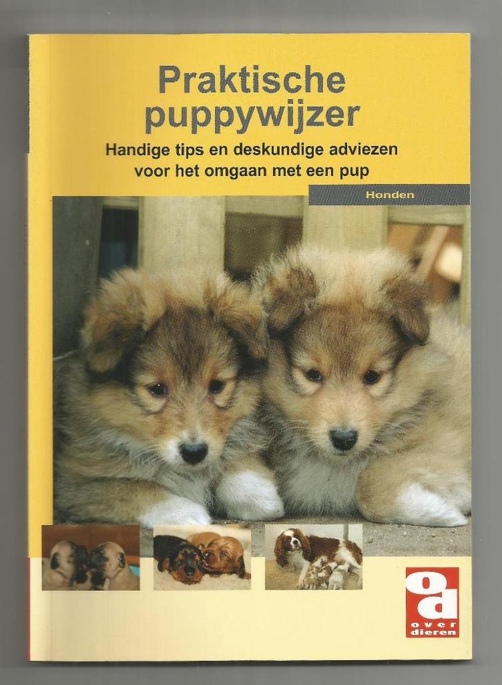 Praktische puppywijzer, Boeken, Dieren en Huisdieren, Nieuw, Honden, Ophalen of Verzenden