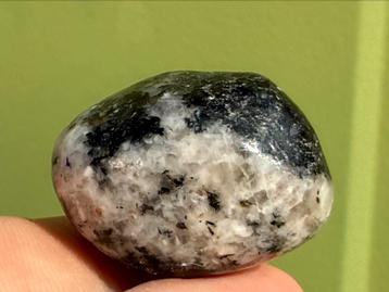 Orbiculiet broekzaksteen edelsteen mineralen beschikbaar voor biedingen