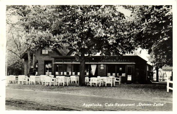 Appelscha, Cafe-Restaurant Duinen-Zathe - 195?6 gelopen, Verzamelen, Ansichtkaarten | Nederland, Gelopen, Friesland, Voor 1920