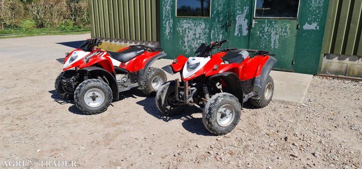 Polaris Phoenix 200 quad ATV, Motoren, Quads en Trikes