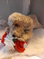 Adv 10 steiff hondje raudi ca 23 cm, Ophalen of Verzenden