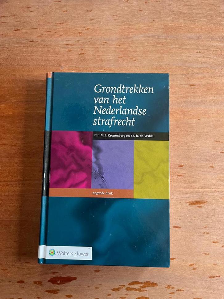 Grondtrekken Nederlands strafrecht - HBO rechten, Boeken, Wetenschap, Zo goed als nieuw, Ophalen of Verzenden
