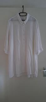 Witte blouse maat 54, Miss Etam, Ophalen of Verzenden, Zo goed als nieuw, Wit