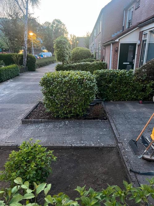 Tuinman aangeboden, Tuin en Terras, Tegels en Klinkers, Nieuw, Terrastegels, Beton, 10 m² of meer, Ophalen of Verzenden