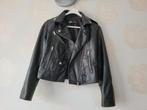 Biker jack van Zara, maat XS, Ophalen of Verzenden, Jasje, Maat 34 (XS) of kleiner, Gedragen