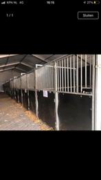 Concoursboxen uit voorraad, Stalling, 1 paard of pony