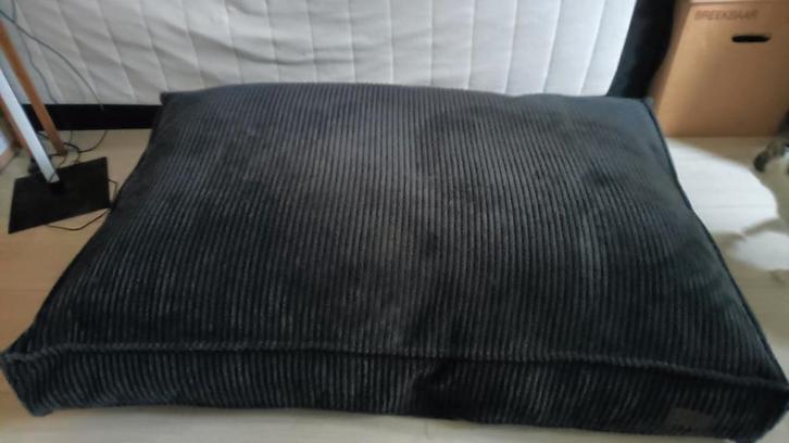 Groot honden kussen., Dieren en Toebehoren, Hondenmanden, Ophalen