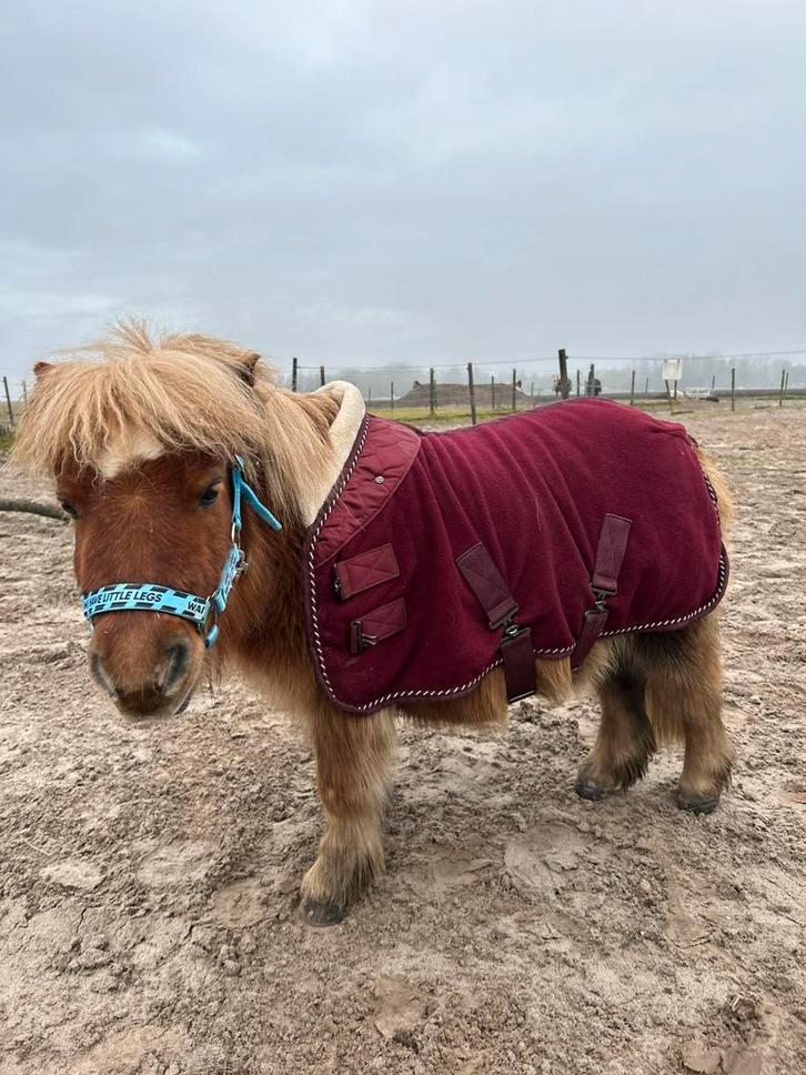 Mini Shetlander zweet deken te koop!, Dieren en Toebehoren, Paarden en Pony's | Dekens en Dekjes, Zo goed als nieuw, Ophalen of Verzenden