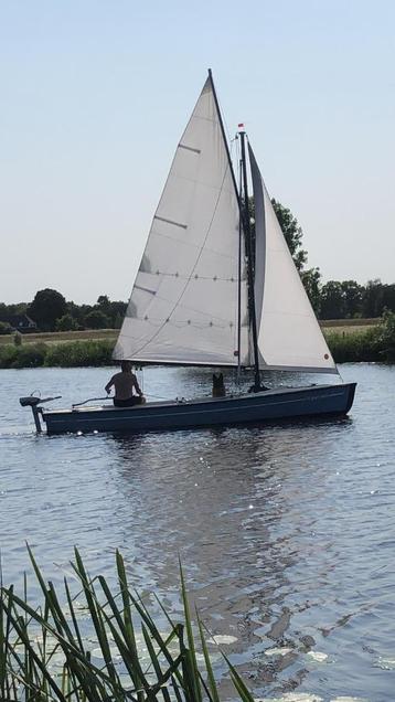 Poly valk (Ottenhome) beschikbaar voor biedingen