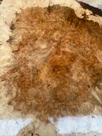 Esdoorn Burl Tafelblad - 75cm, Ophalen, 50 tot 100 cm, Rond, Nieuw