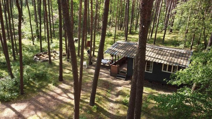 Chalet ( s ) met eigen bosgrond perceel (3.400 m²), Vakantie, Vakantiehuizen | België, Antwerpen of Vlaanderen, Chalet, Bungalow of Caravan
