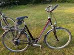 Koga Miyata tesla s dames en herenfiets, 55 tot 59 cm, Ophalen, Gebruikt, Overige merken