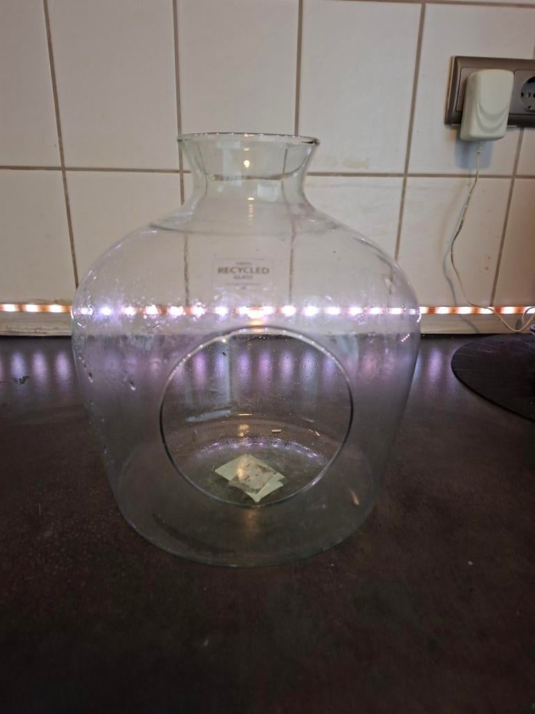 Glazen vaas / terrarium - 26 cm, Ophalen, Overige kleuren, Minder dan 50 cm, Glas
