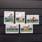 vd1250  Sahara  Roofdieren / Katjes, Postzegels en Munten, Postzegels | Thematische zegels, Dier of Natuur, Verzenden