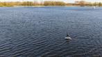 ‍️ EFOIL HUREN VOOR HET WEEKEND – ZONDER DURE LESSEN! ‍, Ophalen of Verzenden, Nieuw, Wingsurf-hydrofoil