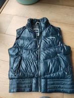 Gaastra bodywarmer mt L dames, Kleding | Dames, Bodywarmers, Ophalen of Verzenden, Zo goed als nieuw