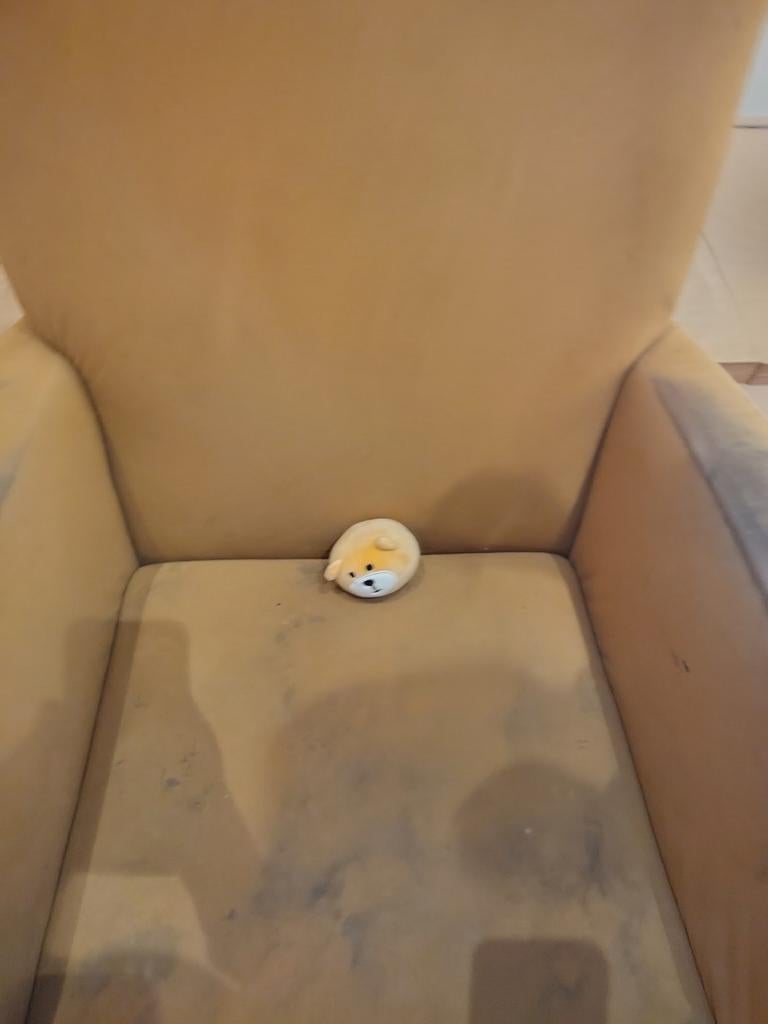 Een schattig hamstertje, Ophalen of Verzenden, Zo goed als nieuw, Overige typen