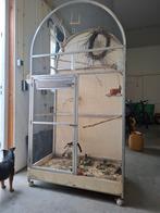 Voliere, Dieren en Toebehoren, Ophalen, Metaal, Vogelkooi