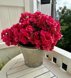 Oude zinken emmer, lekt niet!, Ophalen, Gebruikt, Minder dan 30 cm, Minder dan 60 cm