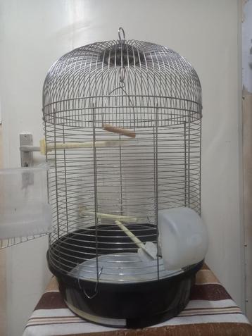 4 vogel kooi voor Grasparkieten beschikbaar voor biedingen