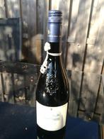 BOUCHARD AINE & FILS MERLOT 2009, Frankrijk, Nieuw, Ophalen of Verzenden, Rode wijn