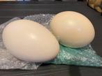 Grote eieren voor paasdecoratie of knutselen, Ophalen of Verzenden, Zo goed als nieuw