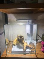 SuperFish Qubiq 60 Pro, Ophalen, Nieuw, Leeg aquarium