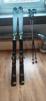 ski's Fischer 150cm, Ophalen, 140 tot 160 cm, Ski's, Fischer