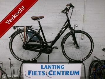 PEGASUS   SALERNO   51  CM beschikbaar voor biedingen
