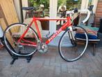 Focus, Aluminium, Zo goed als nieuw, Meer dan 20 versnellingen, 53 tot 57 cm