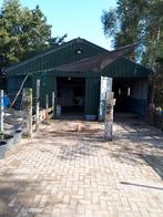 Plek Vrij 24/7 in Vrijheid, Mini PP, Oudemolen, Dieren en Toebehoren, Weidegang, 2 of 3 paarden of pony's