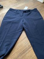 Nieuwe WINDSOR donkerblauwe broek/pantalon, Kleding | Dames, Nieuw, WINDSOR, Blauw, Ophalen of Verzenden