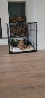 Puppy-hondenren 125x78x80, Dieren en Toebehoren, Hondenbenches, Ophalen, Zo goed als nieuw