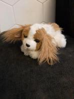 Fur real friends hond hasbro, Ophalen of Verzenden, Gebruikt, Hond