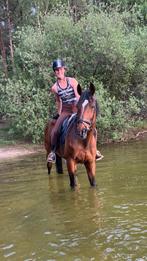 Weide/weiland/grond met schuur/loods gezocht, Dieren en Toebehoren, Stalling en Weidegang