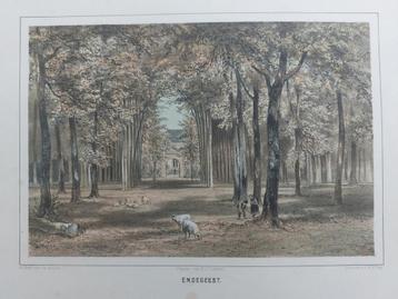 12 / Kasteel Endegeest te Oegstgeest Steendruk uit 1859 beschikbaar voor biedingen