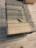 Hamsterkooi met accessoires, Dieren en Toebehoren, Knaagdieren en Konijnen | Hokken en Kooien, Kooi, Gebruikt, Hamster, 75 tot 110 cm