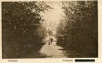 SCHIEDAM - Volkspark (VK080), Verzamelen, Ansichtkaarten | Nederland, Verzenden, 1920 tot 1940, Gelopen, Zuid-Holland