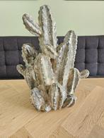 Beeld cactus, Ophalen of Verzenden, Nieuw, Overige typen