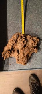 Mooi stuk hout voor aquarium, Dieren en Toebehoren, Vissen | Aquaria en Toebehoren, Ophalen, Zo goed als nieuw, Plant(en), Steen of Hout