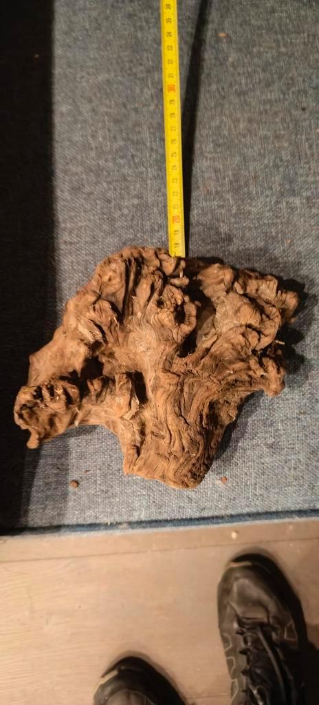 Mooi stuk hout voor aquarium, Dieren en Toebehoren, Vissen | Aquaria en Toebehoren, Zo goed als nieuw, Plant(en), Steen of Hout