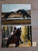 DINOSAURUS 6, Verzamelen, Ansichtkaarten | Dieren, Ophalen, Paard