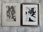 2 x botanische kunstwerken prints ets planten bloemen, Ophalen of Verzenden