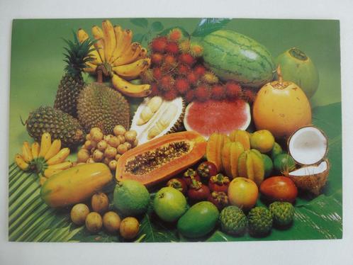 Ansichtkaart ansicht postcard Malaysian fruits - Malaysia, Verzamelen, Ansichtkaarten | Buitenland, Ongelopen, Buiten Europa, 1980 tot heden