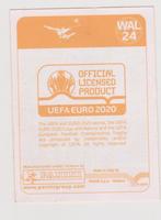 Panini stickers EK2020 Preview oranje, EK 2020, Verzenden, Zo goed als nieuw, Buitenlandse clubs, Poster, Plaatje of Sticker