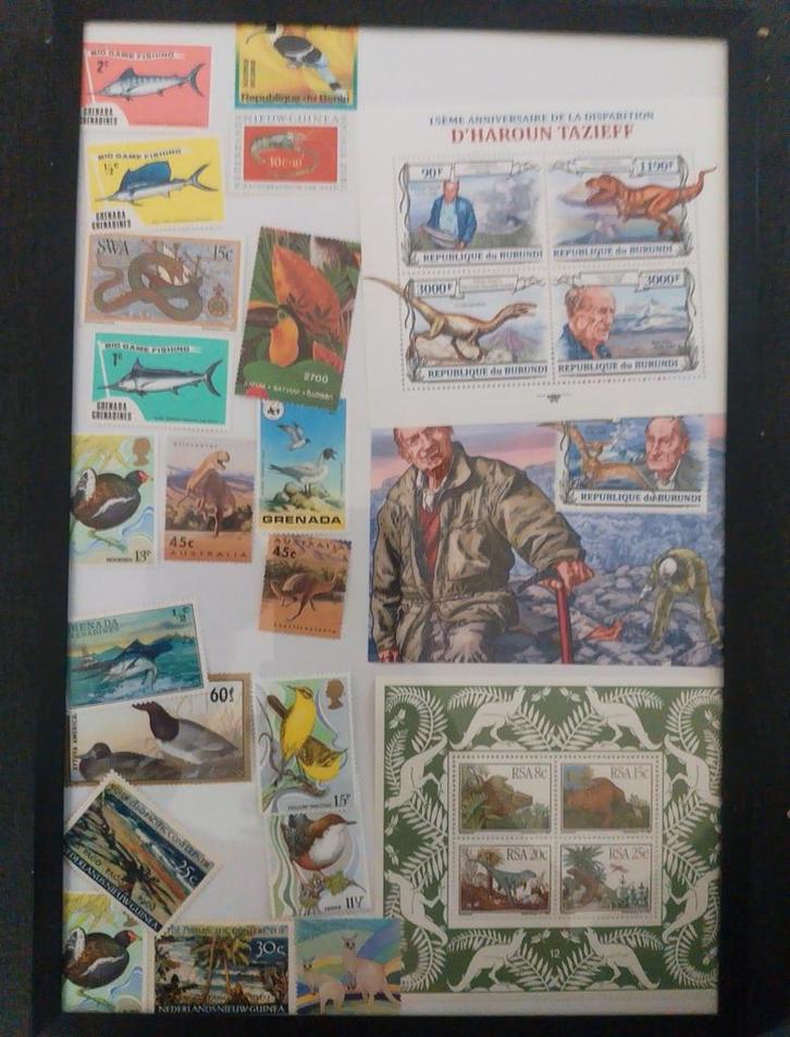 verzameling postzegels, Postzegels en Munten, Postzegels | Volle albums en Verzamelingen, Nederland en Buitenland, Ophalen of Verzenden