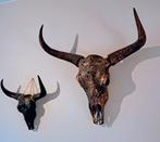Skull, buffel schedels 2st te koop!, Huis en Inrichting, Ophalen, Zo goed als nieuw