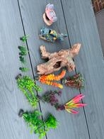 Aquarium accessoires, Dieren en Toebehoren, Vissen | Aquaria en Toebehoren, Ophalen, Zo goed als nieuw, Leeg aquarium